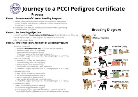 Register Your Dog » PCCI .
